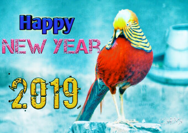 Happy New Year Wishes 2019 for girlfriend Happy New Year 2019 Wishes for friend