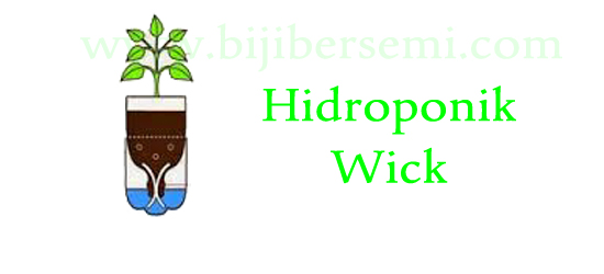 hidroponik, menanam dengan metode hidroponik, hidroponik dengan botol