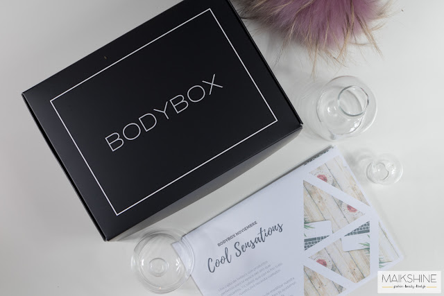 BodyBox Noviembre Haul Maikshine
