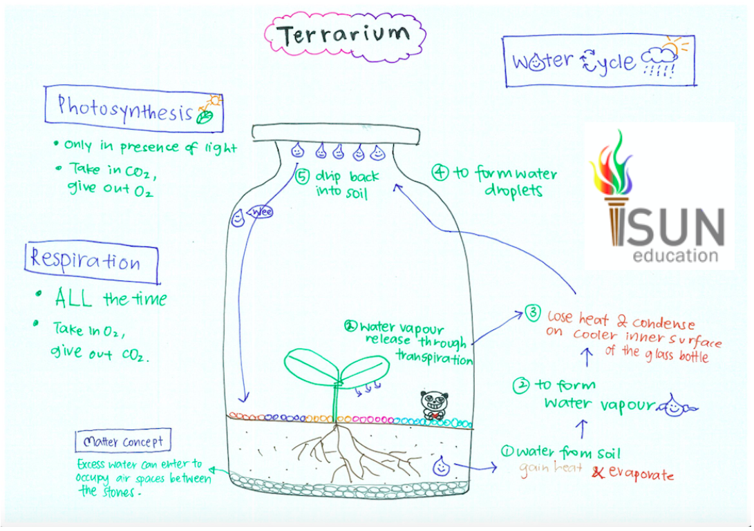 The 2 marks Terrarium Science Question