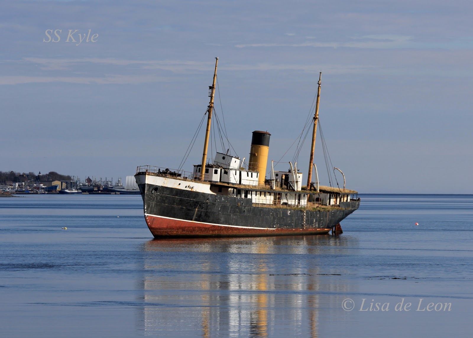 Birding with Lisa de Leon SS Kyle Harbour Grace