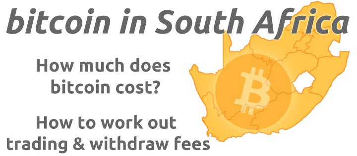 State of Bitcoins Business in South Africa Online Seminar