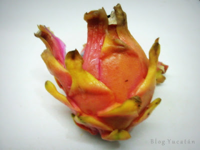 Pitaya pitahaya fruta dragon