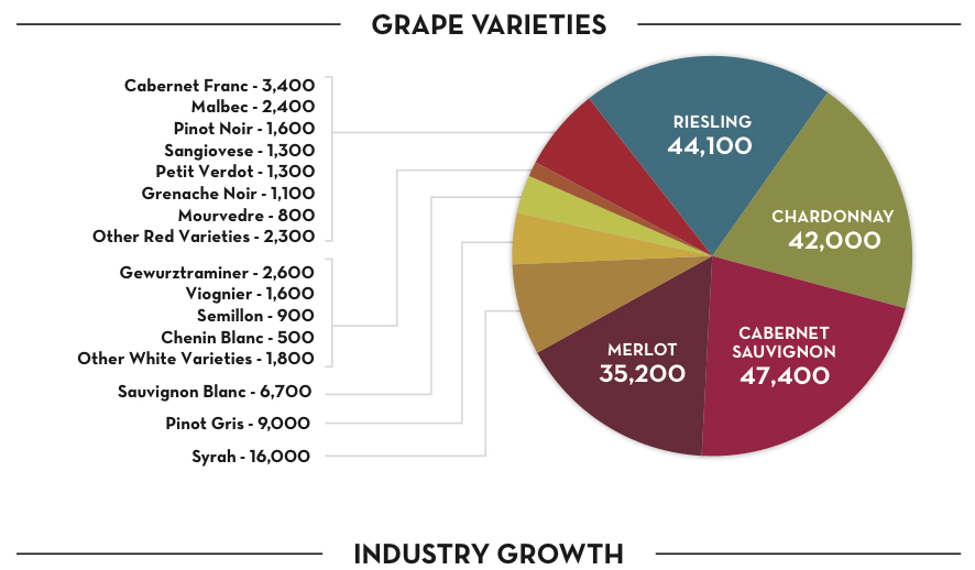 Washington wine grape production down slightly in 2015 Sean P. Sullivan Washington Wine