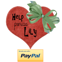 Tax Deductible Donation For Lily's Medical Expenses