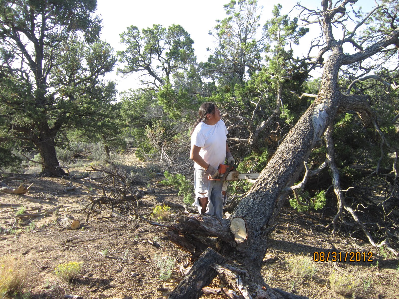 Use Our Spiritual Gifts Cutting Firewood New Mexico Style
