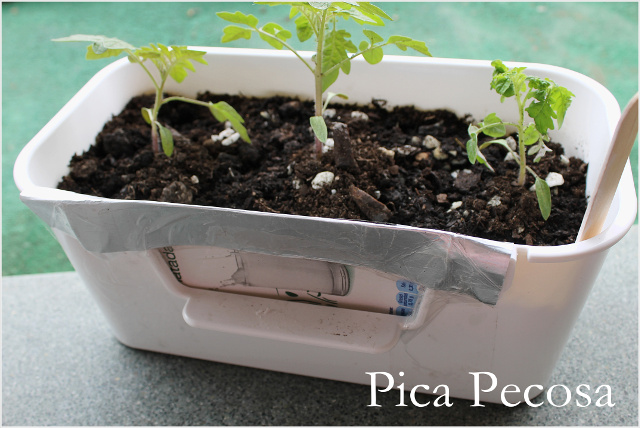 cesto-plastico-ikea-reciclado-en-maceta-diy