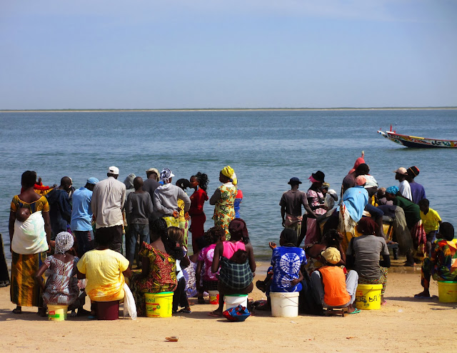 De DJIFER a JOAL-FADIOUTH, uma área deslumbrante de beleza e autenticidade na costa atlântica | Senegal