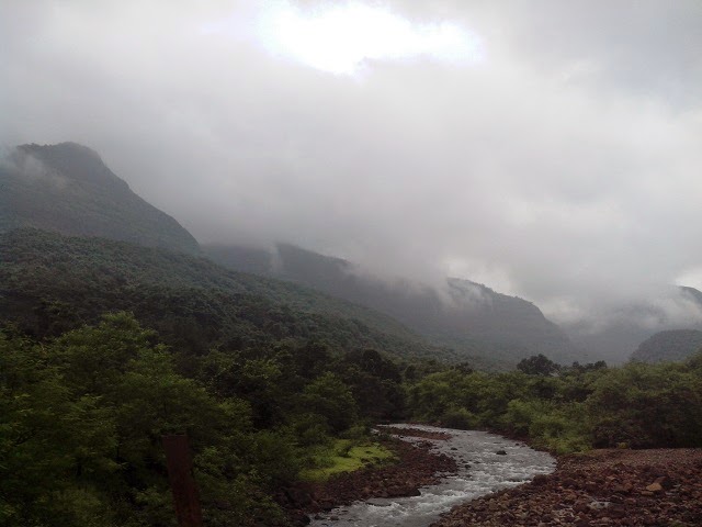 Konkan Delight