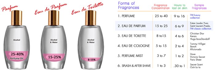 FM Perfume Perfume Concentration FM Perfume FM Perfume Perfume Concentration FM Perfume