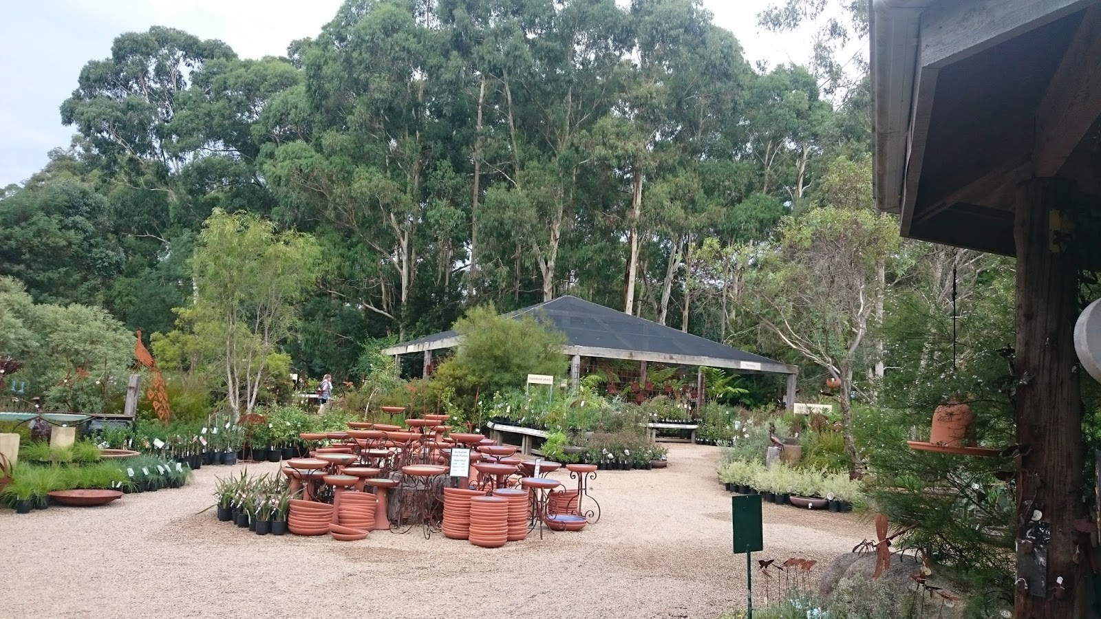 native nursery, critique of native nursery and "native" wildflower