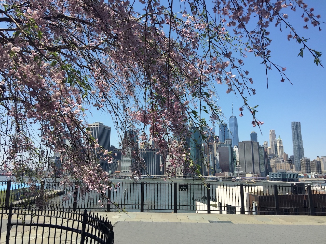 A Spring Walk to the Brooklyn Heights Promenade and Brooklyn Bridge Park