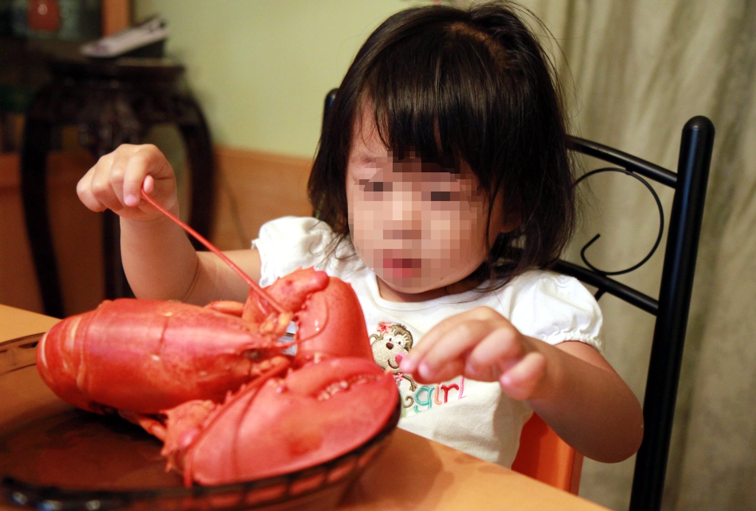 Tranquility Spot Baby Meets Lobster