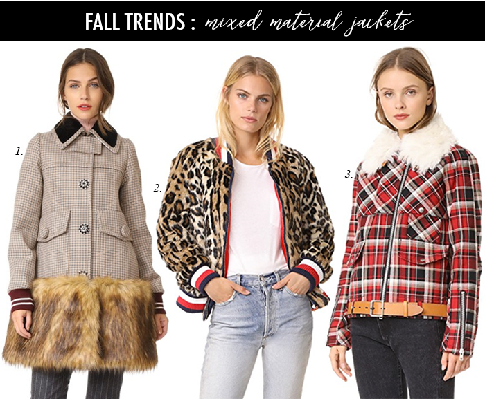 Daily Style Finds Fall Sweater and Jacket Trends