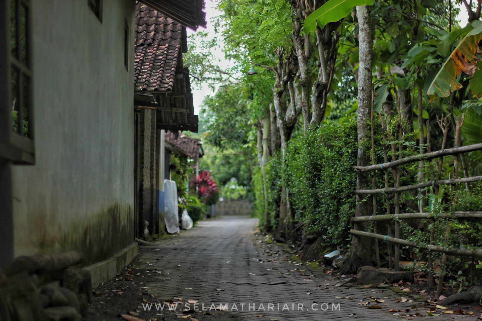 suasana desa di Bantul