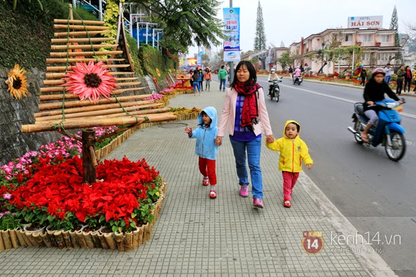 bien-nguoi-do-ve-da-lat-tham-du-festival-hoa-nam-201356.jpg