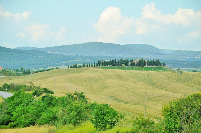 _DSC0912%2B%25282%2529.JPG