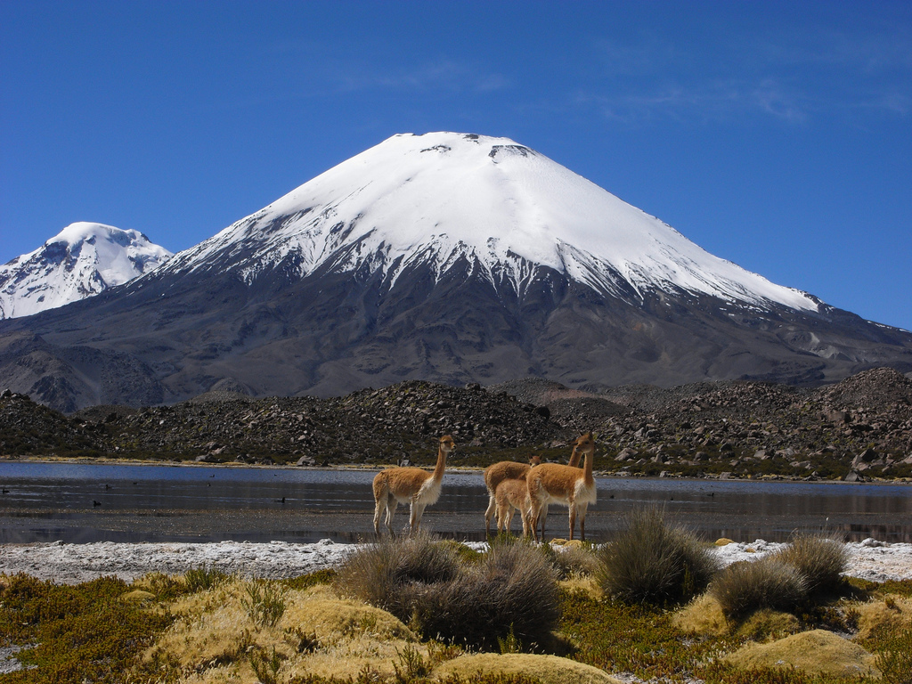 Чили страна 7 класс. Паринакота Чили. Вулкан Паринакота. Национальный парк Торрес-дель-Пайне Чили. Республика Чили достопримечательности.