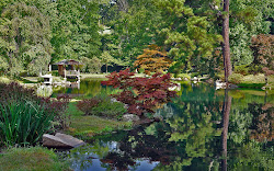 wallpapers cabin log forest hd paradise pond water garden thewallpaperdb wallpapersafari