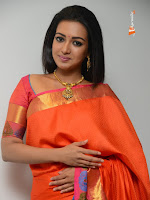 Catherine Tresa Saree Stills-cover-photo