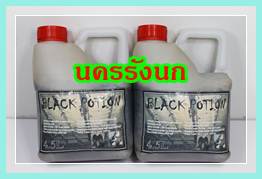 ฮอร์โมนนกนางแอ่น BLACK POTION