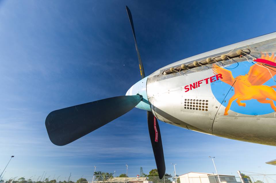 Air Queensland.blogspot "Snifter" the Mustang captured at Mackay Airport