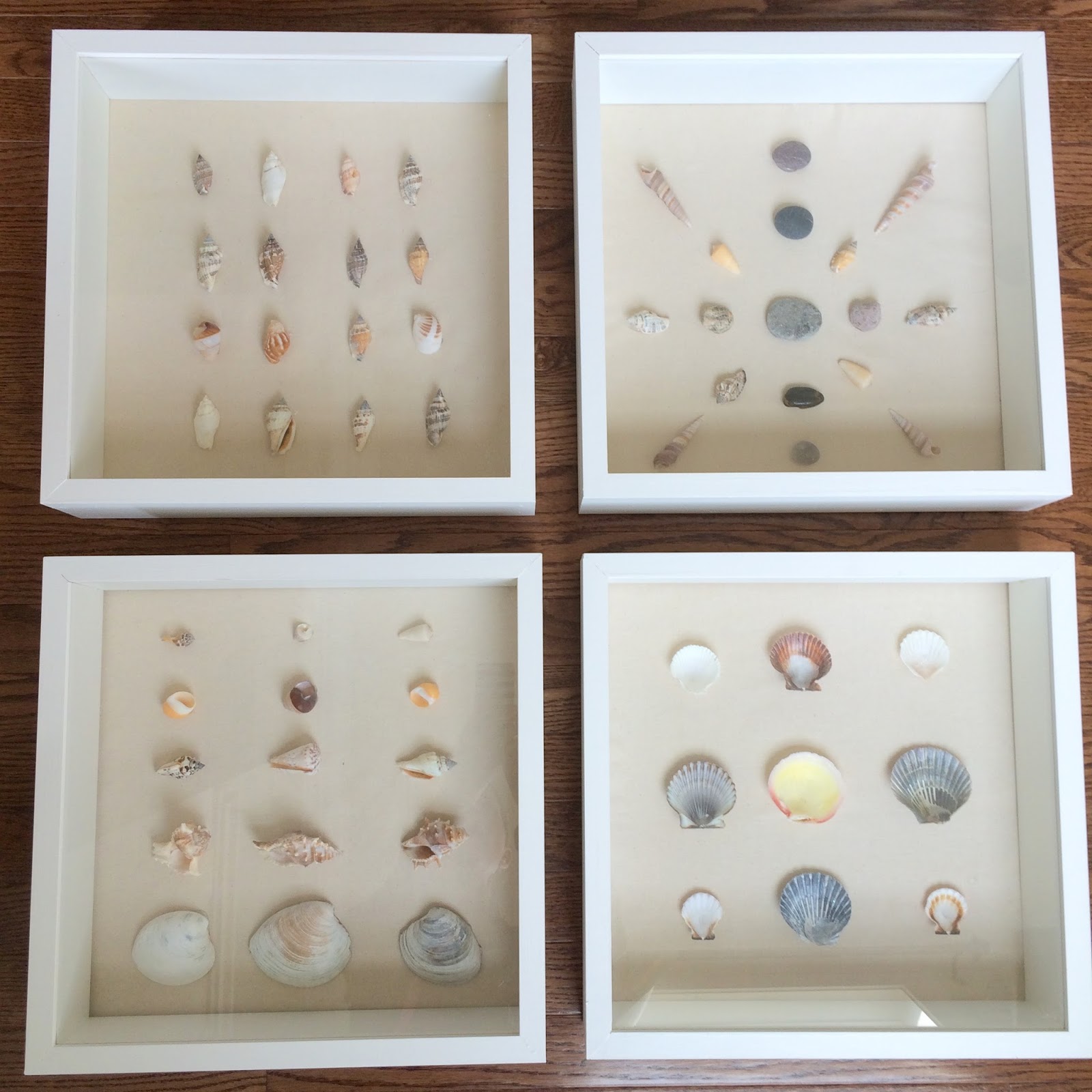Right up my alley: DIY Shadow Box and Shell Art