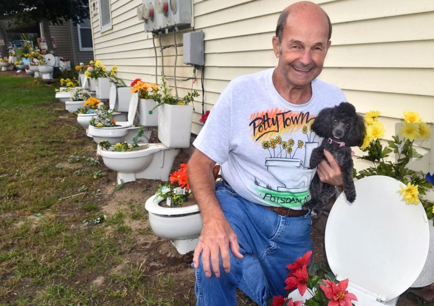 Thisoldtoilet Replacement Toilet Lids and Seats The Potsdam toilet