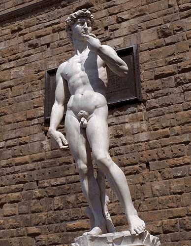 Der perfekte körper