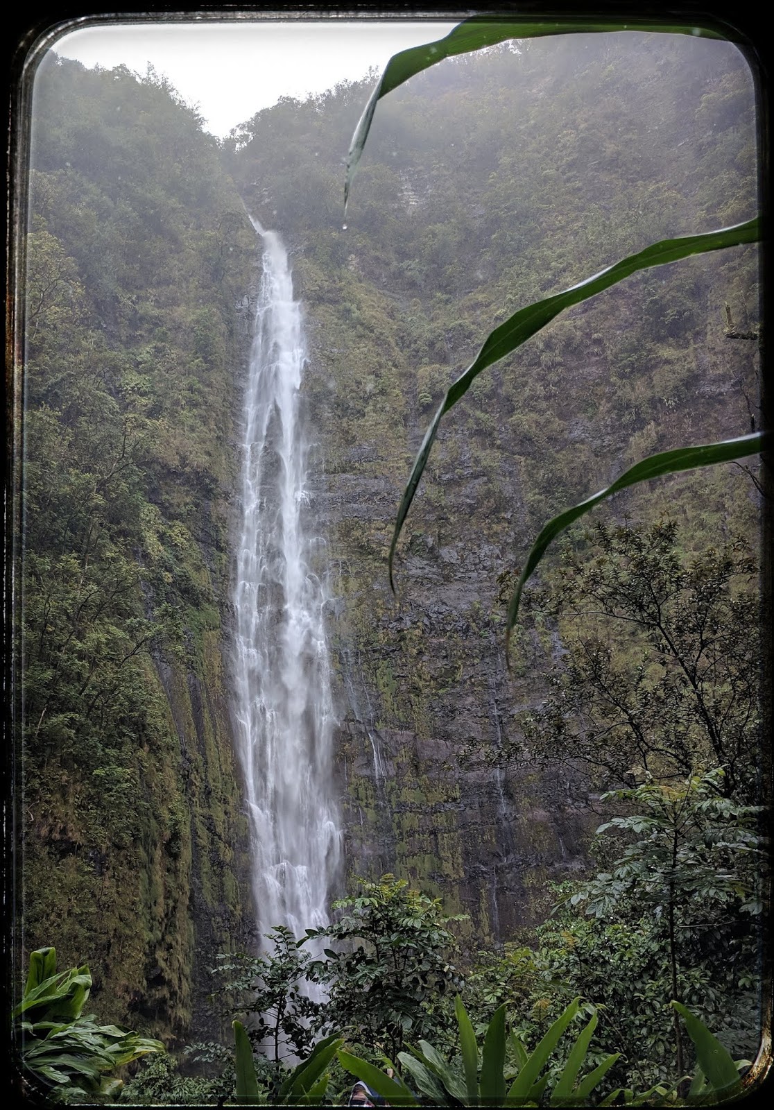 Pipiwai Trail Waimoku Falls Maui, Hawaii in 360 Degrees
