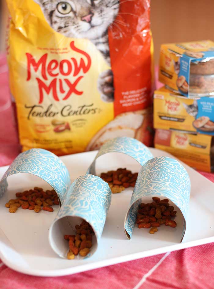 DIY Cat Food Maze for the Ultimate Kitty Boredom Buster Sunny Day Family