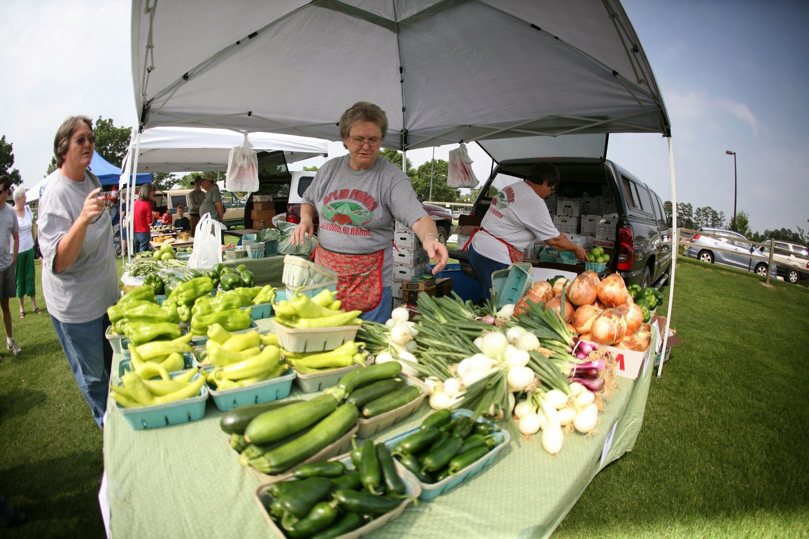 AuburnOpelika Find Your Flavor Farmer's Markets in Auburn & Opelika