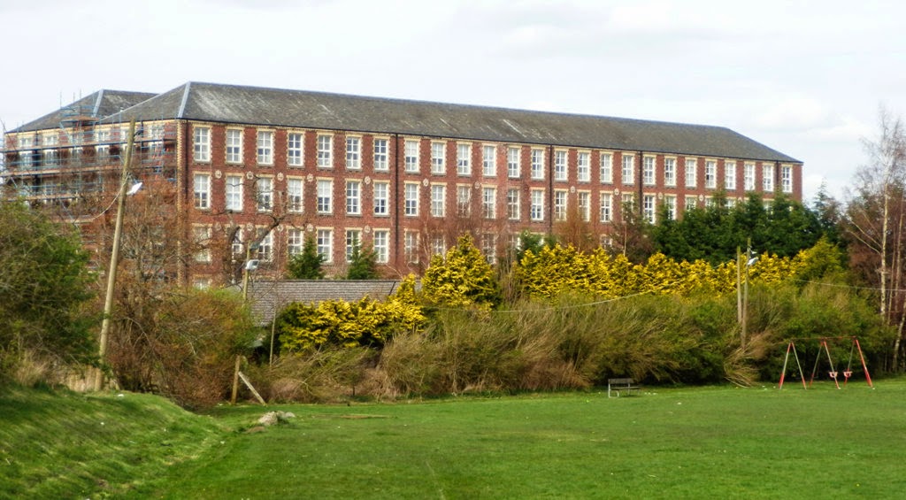 My Daily Walk Cambusbarron