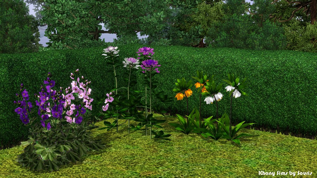 жвачное растение в симс 4. симс 4 декор цветы. трава в sims 4. симс 4 растения в сулани. симс 4 растения.