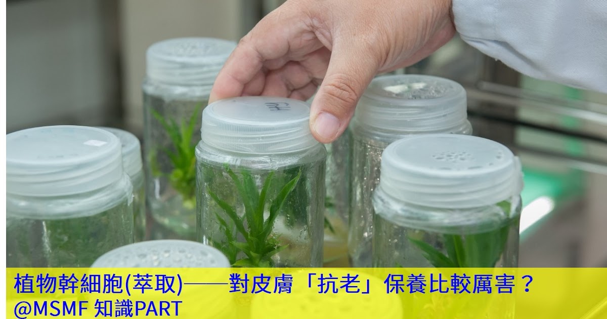 植物幹細胞 萃取 對皮膚 抗老 保養比較厲害 Msmf 知識part