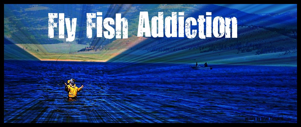Fly Fish Addiction