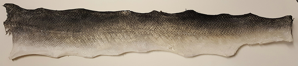 The Pressbengel Project: Exploring German bookbinding traditions and ...