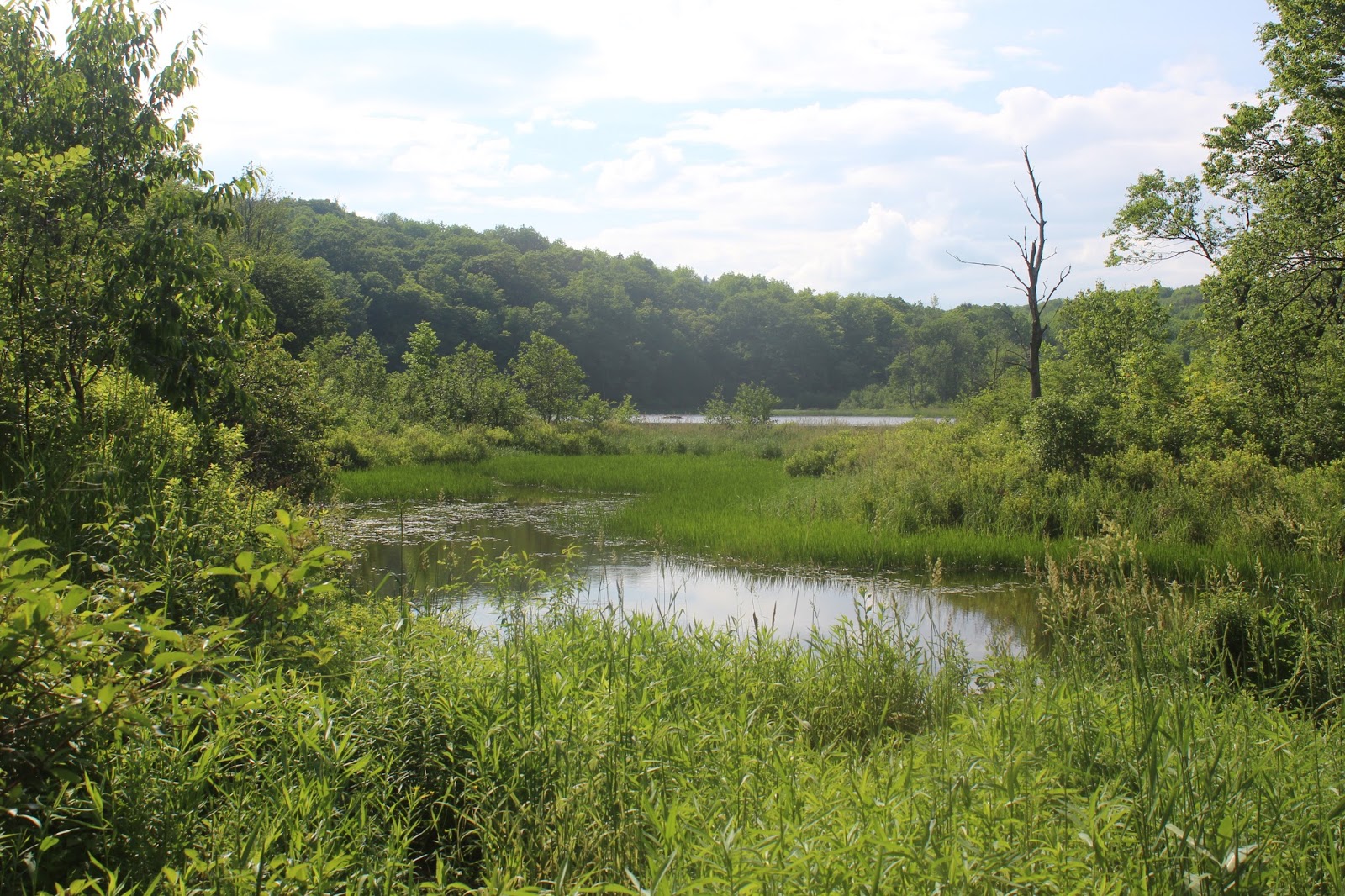 Huyck Preserve Trail Map Walking Man 24 7: Huyck Preserve-North Trails(Rensselaerville)