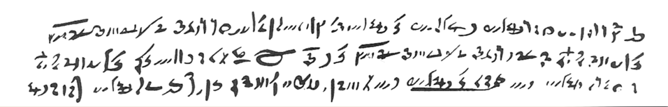 Demotic Script Book A History of Typography & Letterforms: The Evolution of Typography