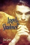 https://www.goodreads.com/book/show/7297559-angel-in-the-shadows