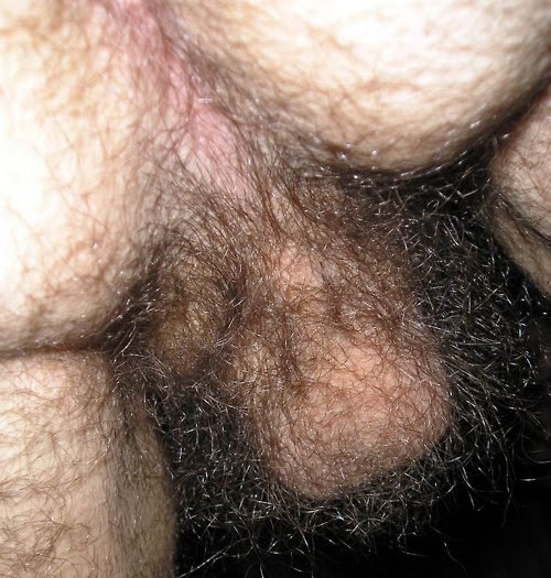 Big balls hairy - 🧡 Incest - Upasna Page 3 XForum.