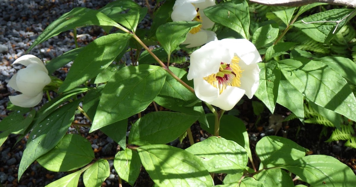 三笠パーク管理事務所からのお知らせ