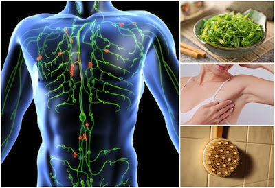 14 Ways To Boost Your Lymphatic System For Detoxification And Better Health 14 Ways To Boost Your Lymphatic System For Detoxification And Better Health