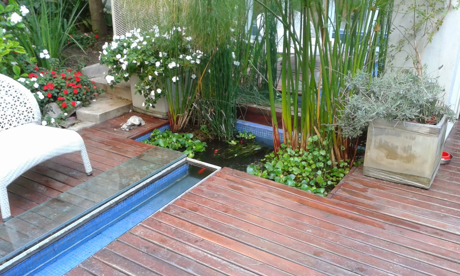 Acuarios Decorpez: Estanques de patio