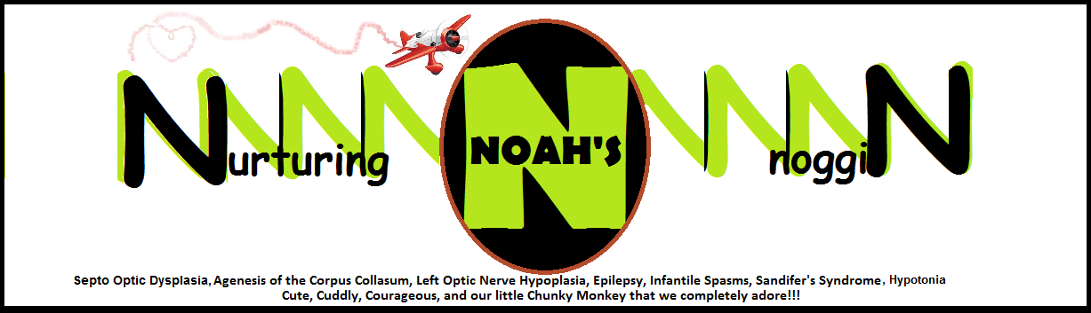 Nurturing Noah's Noggin