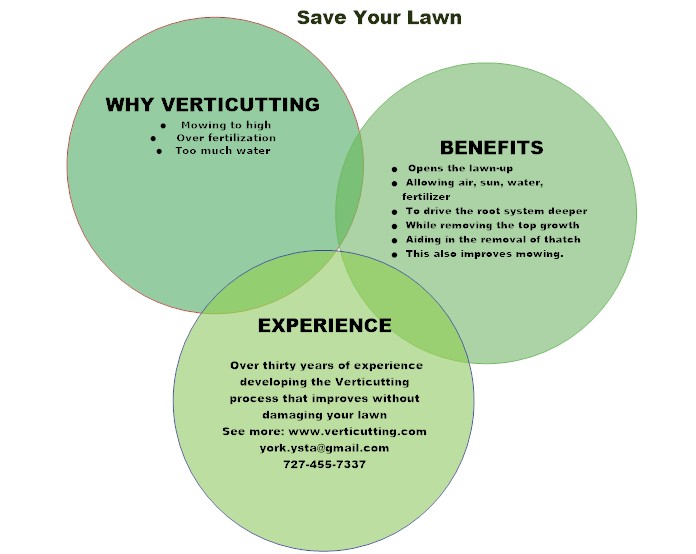 What is Verticutting? March 2016
