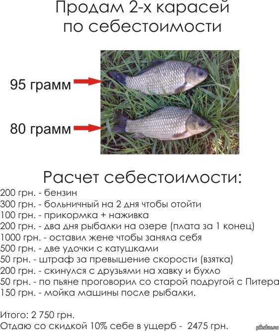 Себестоимость рыбы. Себестоимость рыбы. Fishing planet таблица снастей. Себестоимость рыбы. Продам окуня по себестоимости.