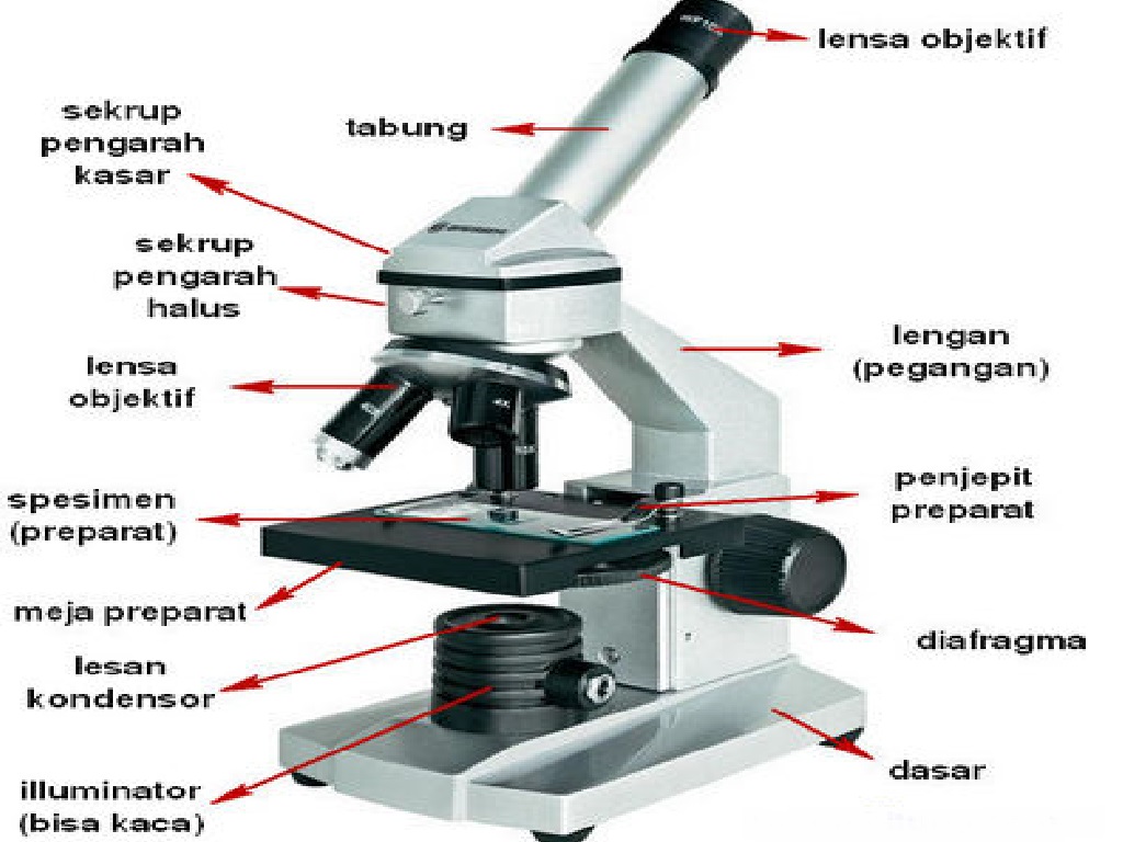 Mikroskop fungsi tabung Fungsi Mikroskop: