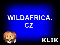 WILDASFRICA.CZ