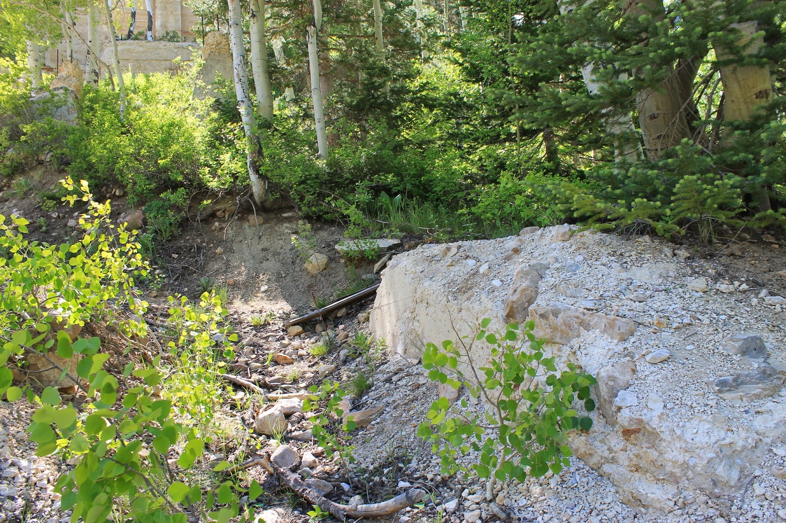 My Ghost Town Tour Forest City, Utah County part 1